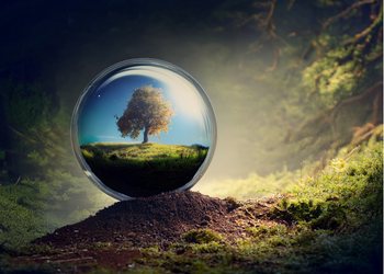 Life Cycle Assessment Adalah? Panduan Lengkap Industri Hijau
